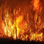 incendio-canaveral-2_WEB-SIN-MARCA