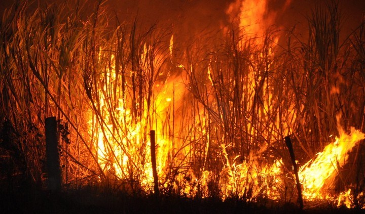 incendio-canaveral-2_WEB-SIN-MARCA