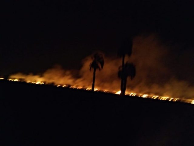 incendios4