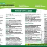 Feria-de-las-carreras-1