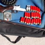 la-ciguena-los-pumas