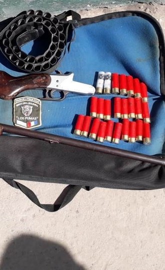 la-ciguena-los-pumas