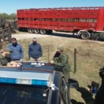 los-pumas-intiyaco-1