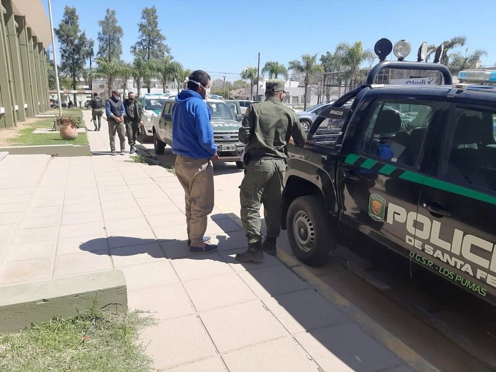 los-pumas-la-gallareta