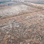 Monitoreo Satelital Desmontes en el Norte Argentino