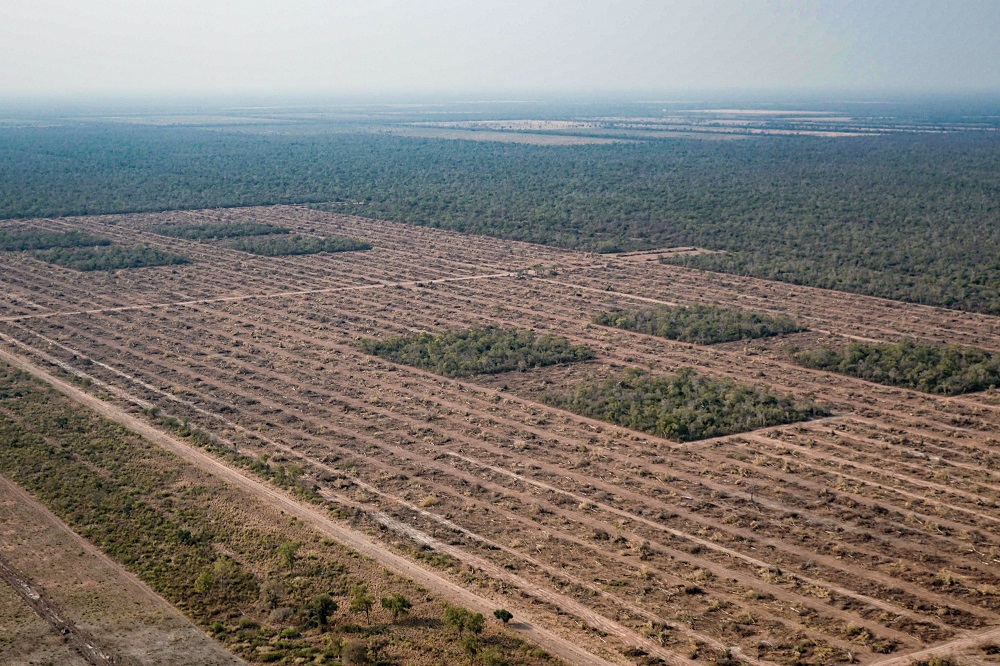 El monitoreo de deforestación en el norte de Argentina que realiza Greenpeace reveló que, a pesar de las restricciones impuestas por la pandemia de COVID-19, entre el 15 de marzo y el 30 de septiembre de este año se desmontaron 42.565 hectáreas de bosques, una superficie similar a la de dos veces la ciudad de Buenos Aires. La organización ecologista reclamó que se prohíban y penalicen los desmontes e incendios.