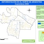 El monitoreo de deforestación en el norte de Argentina que realiza Greenpeace reveló que, a pesar de las restricciones impuestas por la pandemia de COVID-19, entre el 15 de marzo y el 30 de septiembre de este año se desmontaron 42.565 hectáreas de bosques, una superficie similar a la de dos veces la ciudad de Buenos Aires. La organización ecologista reclamó que se prohíban y penalicen los desmontes e incendios.