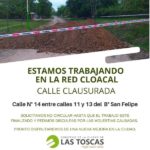 LT-pasto-calle