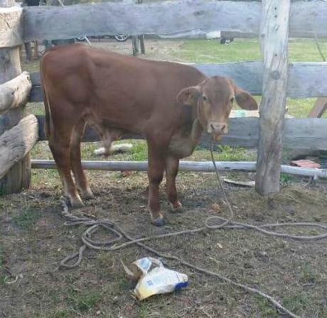 SECCION 9 - VILLA OCAMPO..