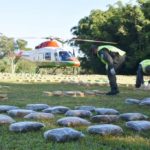 GNA 3 tn marihuana Misiones