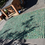 hojas de coca rafaela2