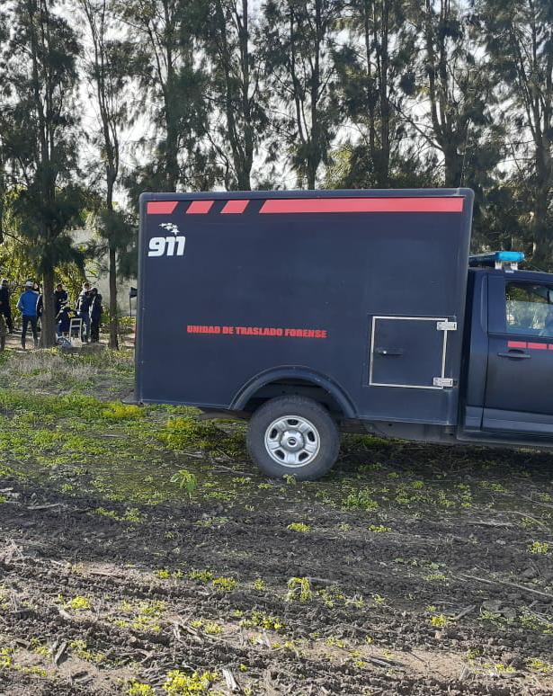 WhatsApp Image 2021-06-22 at 20.21.32