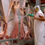 carne exportaciones