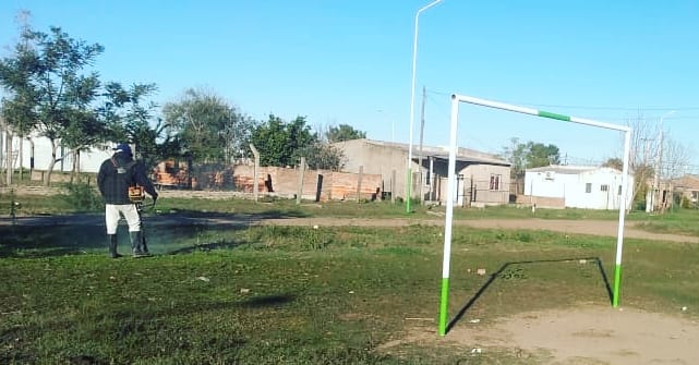 WhatsApp Image 2021-07-22 at 16.43.04