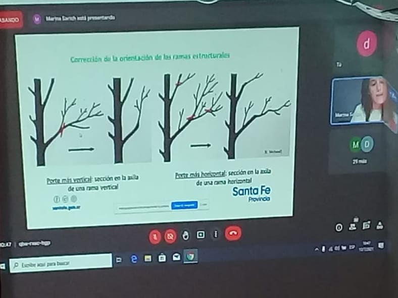 WhatsApp Image 2021-08-10 at 14.41.21