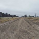 WhatsApp Image 2021-08-11 at 15.59.42