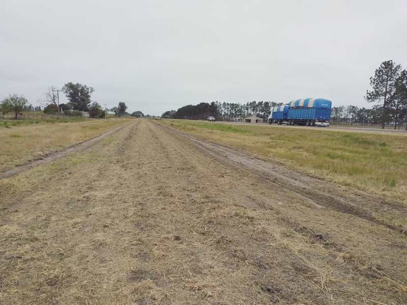 WhatsApp Image 2021-08-11 at 15.59.43