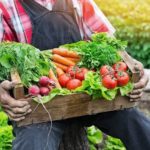 agricultura-familiar-2