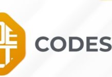 Las Toscas: Aviso de Codeselt sobre problemas en el servicio de internet