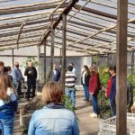 WhatsApp Image 2021-09-16 at 15.55.08