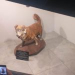 WhatsApp Image 2021-09-24 at 16.18.08 (3)