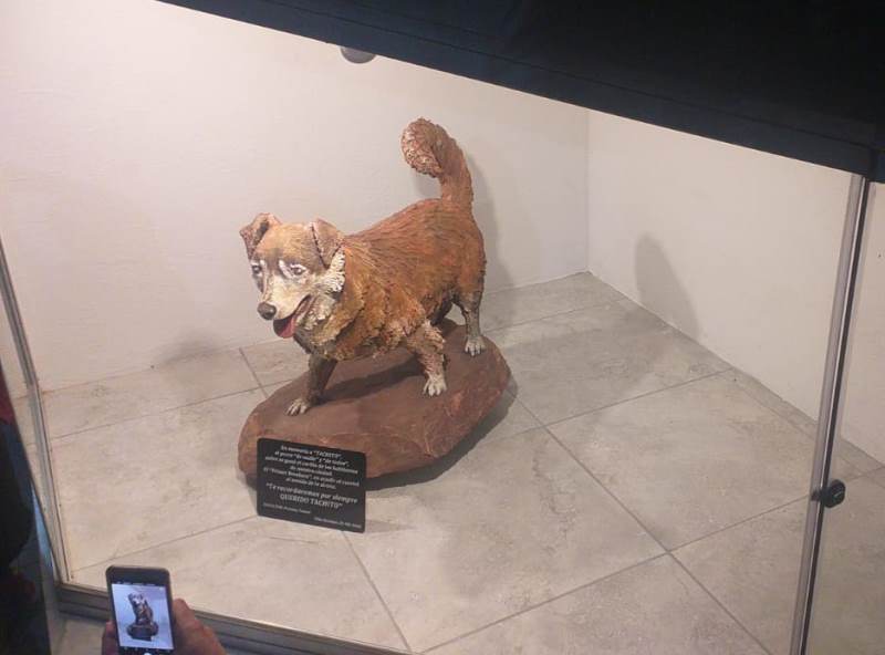 WhatsApp Image 2021-09-24 at 16.18.08 (3)