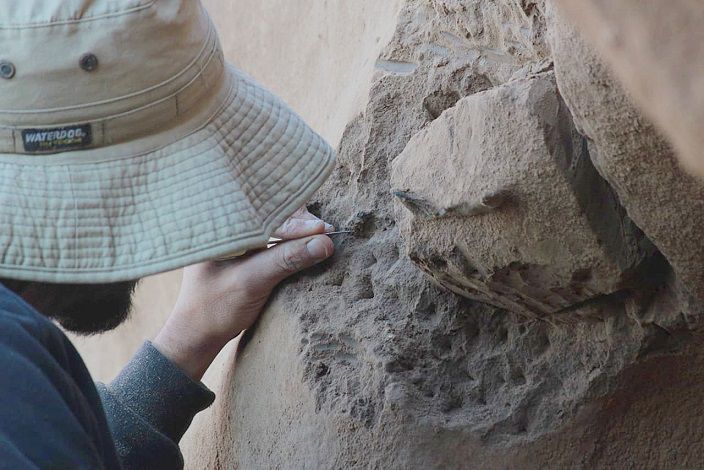 Excavación paleontologica en la futura reserva natural de Centinela del Mar