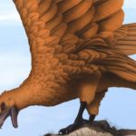 hañllazgo-Teratornis alimentandose del cadaver de un notiomastodon