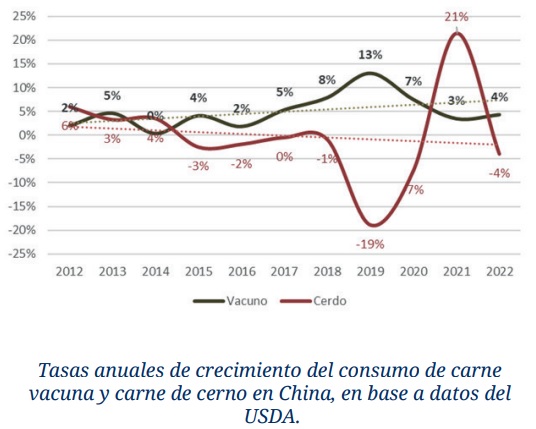 grafico1