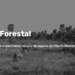 pueblo forestal