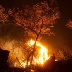 Incendios Patagonia (1)