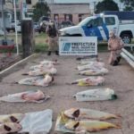 prefectura secuestro faena