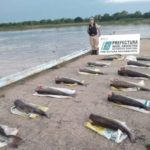 prefectura secuestro faena 2