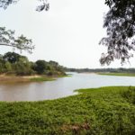 Diputada María Laura Corgniali 7