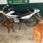 GSR-Seccion Nº 9 – Villa Ocampo