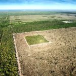 Desmonte 1 Formosa (3)