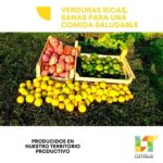 verduras1