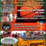 minibasquet