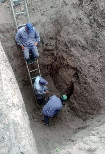 cotelvo desobturación (1)