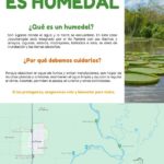 humedales0