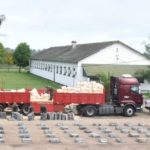 OPERATIVO “PALETO FOREST” 1