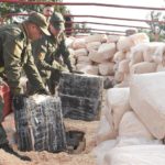 OPERATIVO “PALETO FOREST” 4