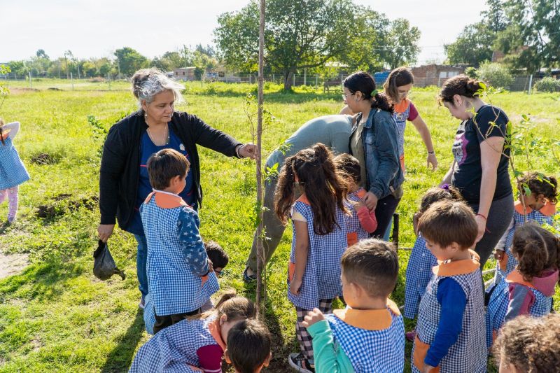 plantación árboles1