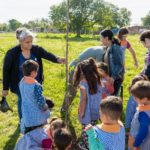 plantación árboles1