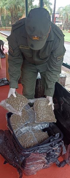 OPERATIVO DROGA ENVASADA AL VACÍO 2