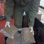 OPERATIVO DROGA ENVASADA AL VACÍO 2