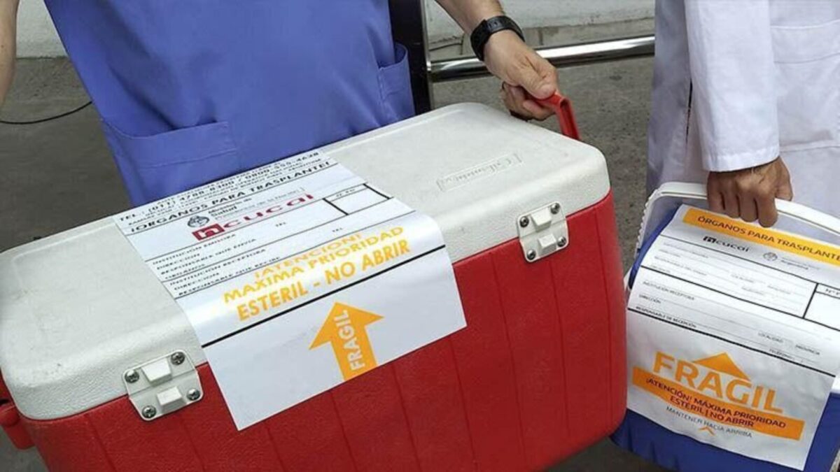 2025-11-05NID_284501O_1