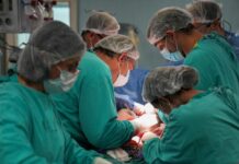 La Provincia de Santa Fe logró récords en donación y trasplante en 2025