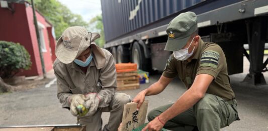 Ambiente: Provincia recibió más de 500 animales silvestres decomisados