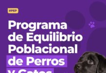 Villa Ocampo puso en marcha el Programa de Equilibrio Poblacional de Perros y Gatos